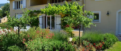 Deluxe Studio | Terrace/patio