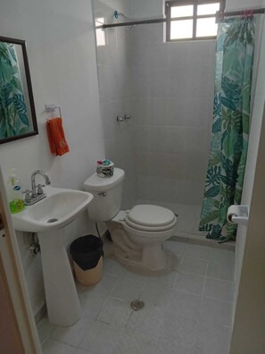 Een douche, een haardroger, een bidet, handdoeken