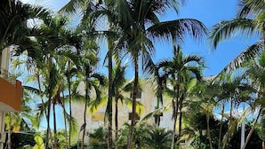 Piscina cercada por palmeiras e um edifício com fachada de pedra.
