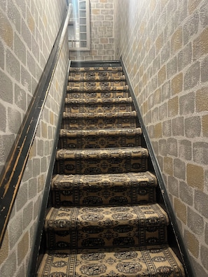 A staircase with patterned carpet and stone walls. - Enjoy living in Red Rocks during concert season!! (Morrison)