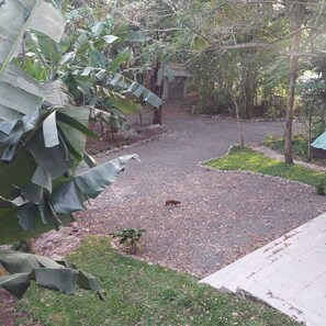 Área da propriedade