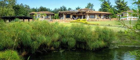A house with a pond, surrounded by greenery and trees.
