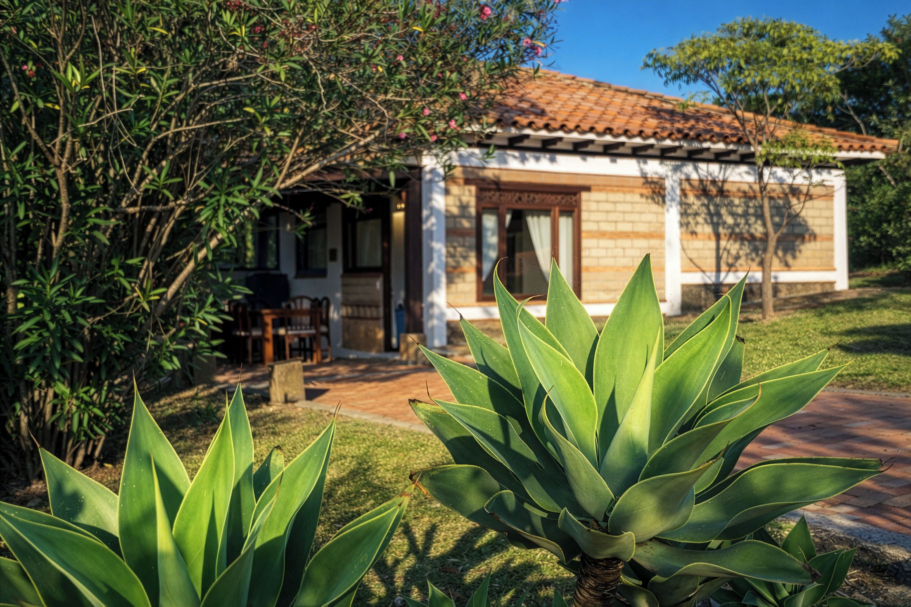 A house with a tiled roof, a garden with agave plants, and a pathway leading to the entrance.