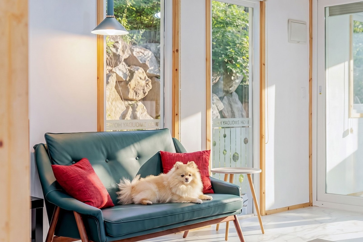 Une pièce chaleureuse avec un canapé vert, un petit chien et une fenêtre donnant sur un paysage verdoyant.