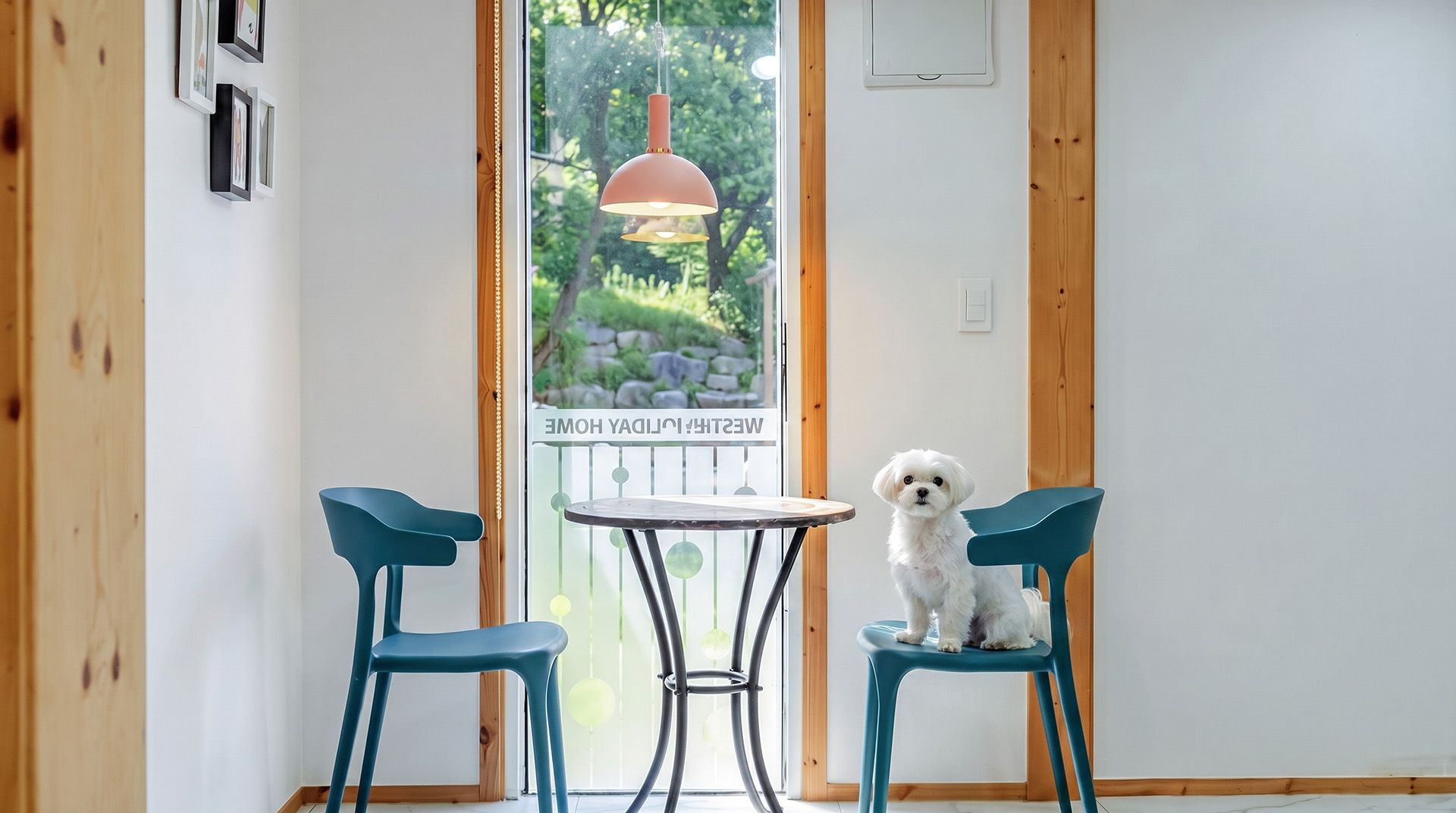 Una habitación pequeña con un perro sentado en una silla, una mesa y una lámpara colgante.