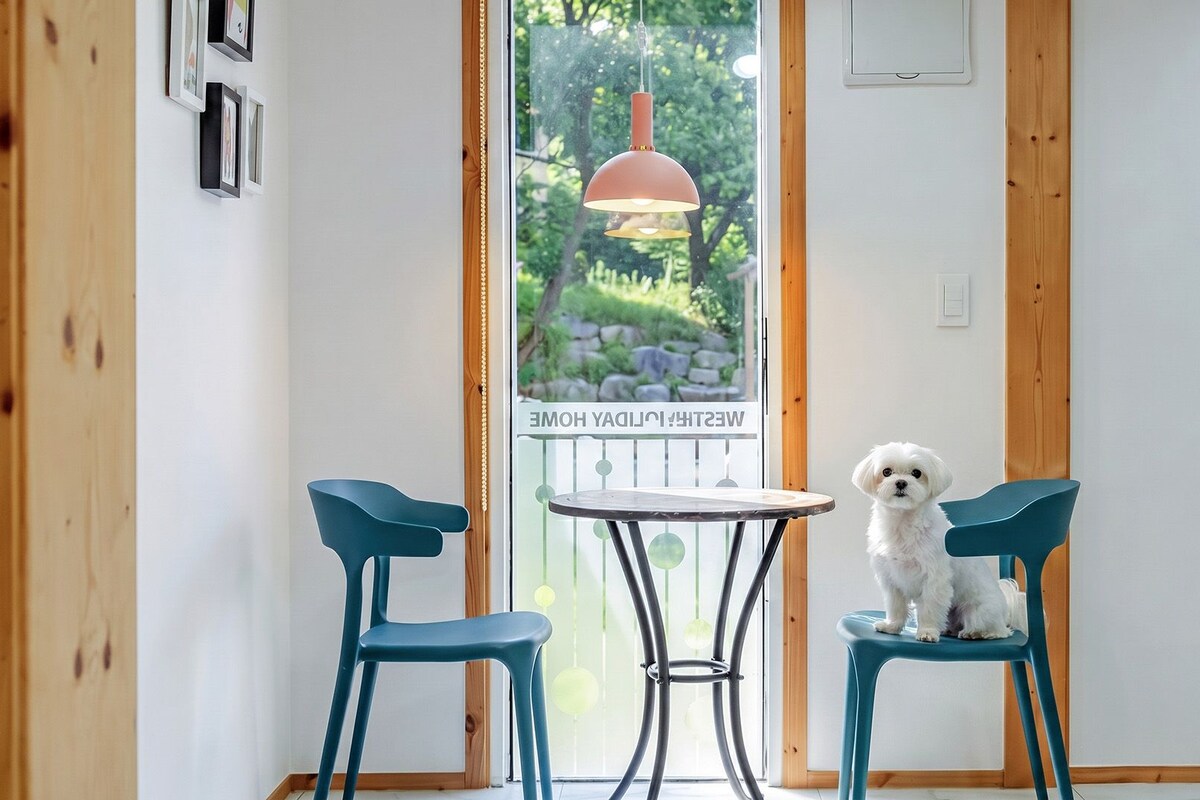 Une petite pièce dans laquelle se trouve un chien assis sur une chaise, avec une table et un luminaire suspendu.