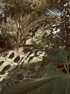 Comfort Double Room, 1 Queen Bed, Pool View, Beachside