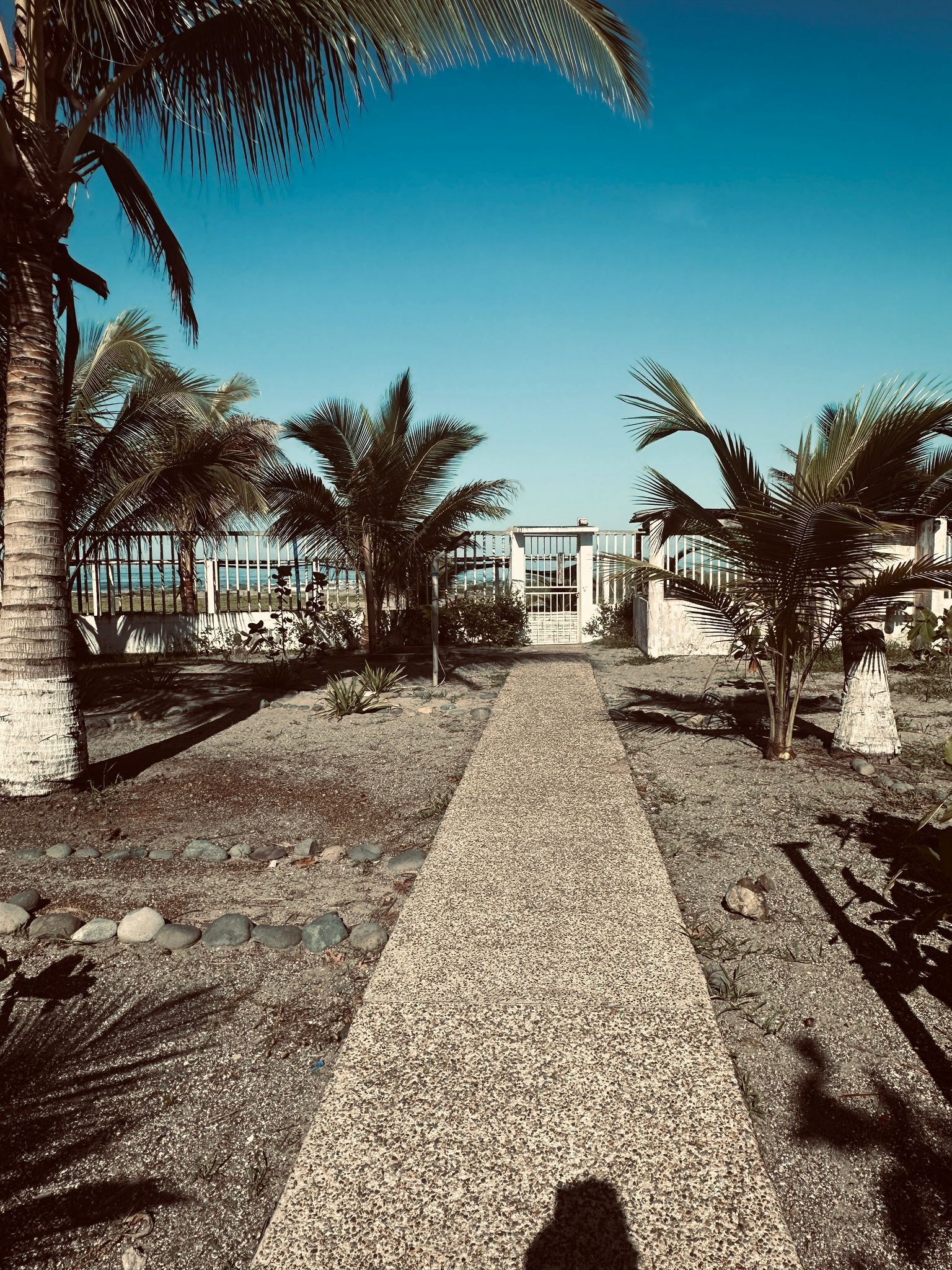 舒適雙人房, 1 張加大雙人床, 泳池景觀, 海濱