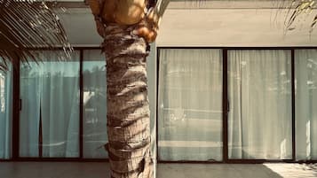 Chambre Double Confort, 1 grand lit, vue piscine, en bord de plage | DĂ©tail de lâextĂ©rieur