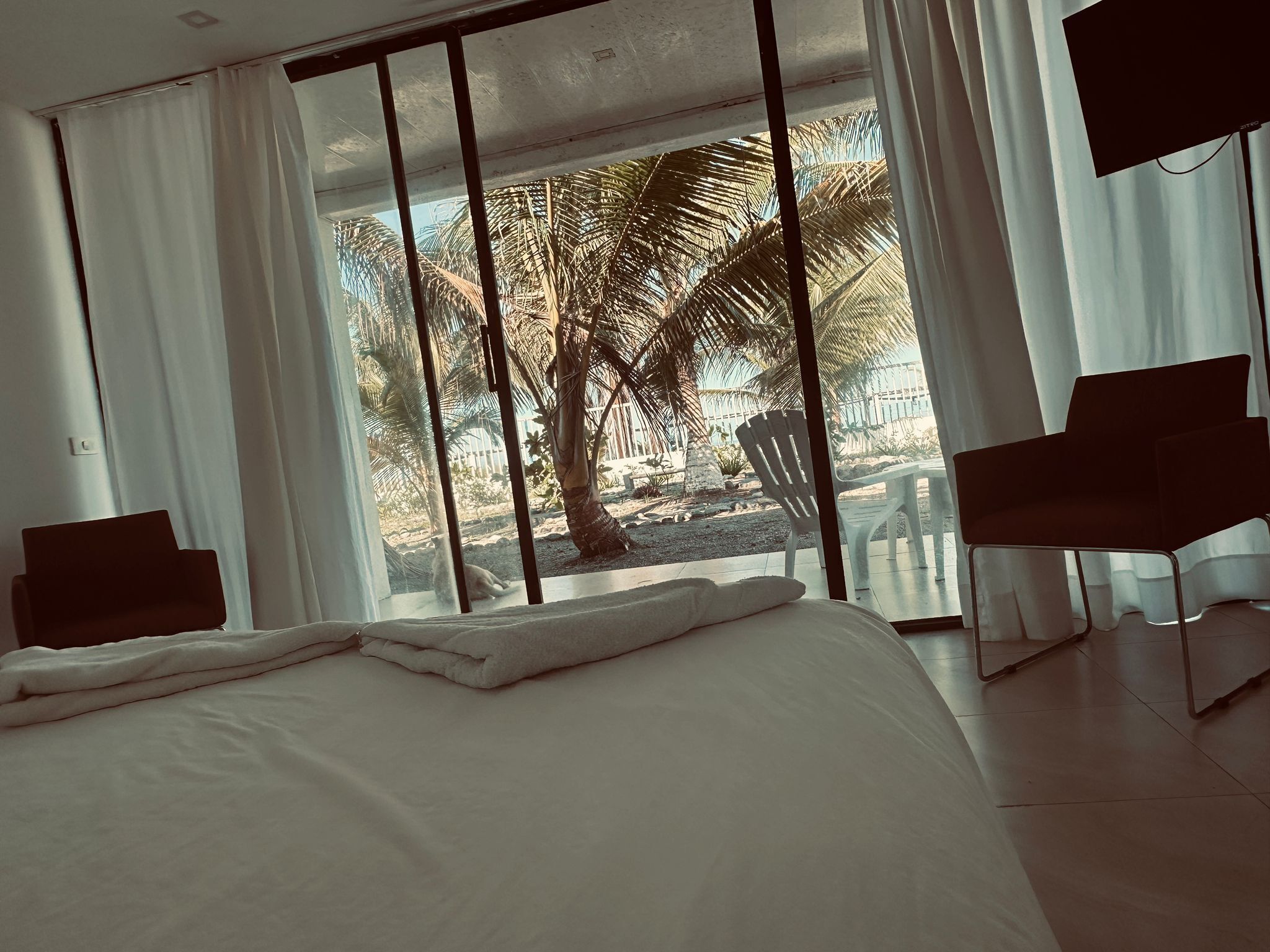 Exclusive Room, Air conditioning, Beach View