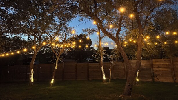 Un jardin avec des arbres et des guirlandes lumineuses.