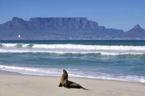 Beach - An Exceptional Beachfront Retreat (Cape Town)