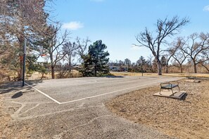 Sports court - Southwest Denver House (Denver)