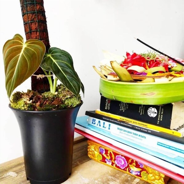 Bungalow, 1 phòng ngủ