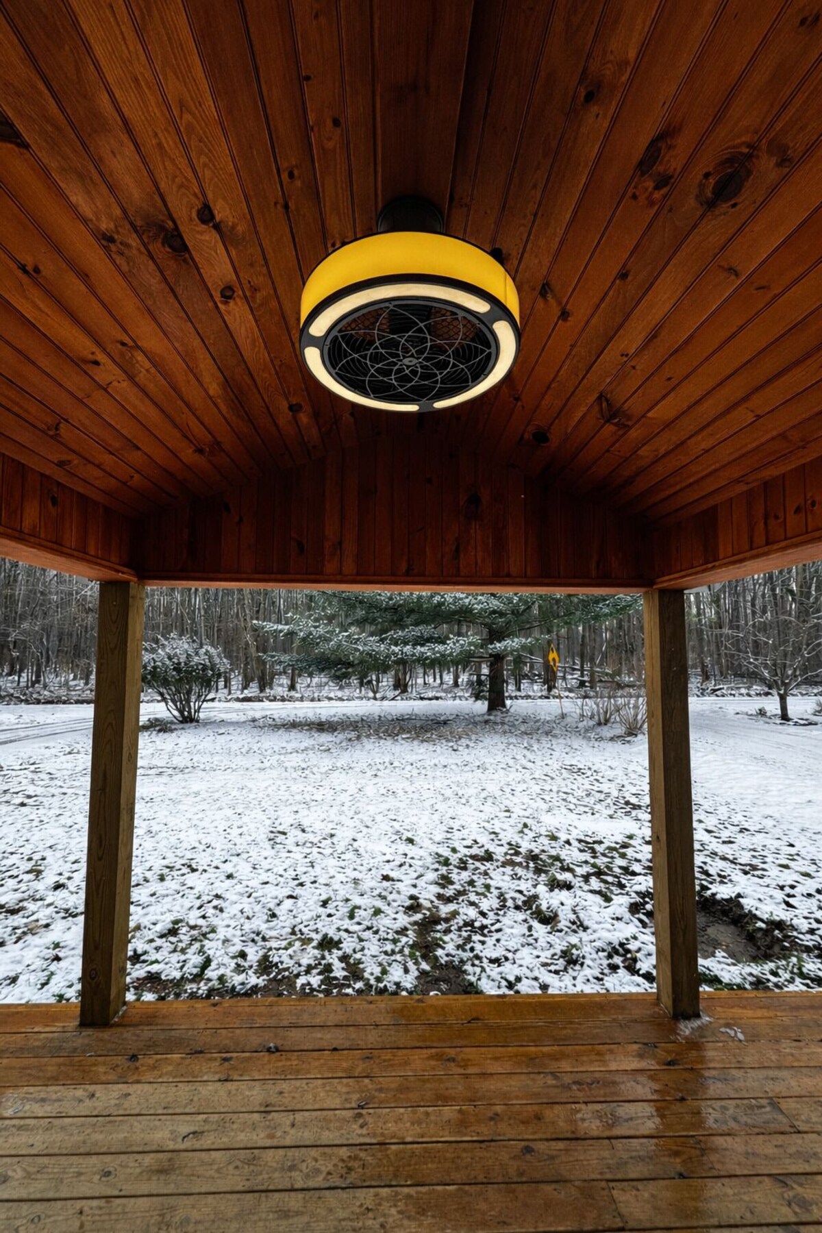 Imagen de perfil del propietario o de la propietaria