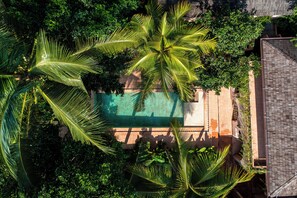 Vista aérea de uma piscina cercada por palmeiras e vegetação, com um edifício de tijolos à direita.