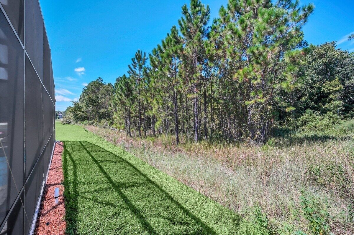 A pathway leading through a grassy area with a row of pine trees on one side and a building on the other.
