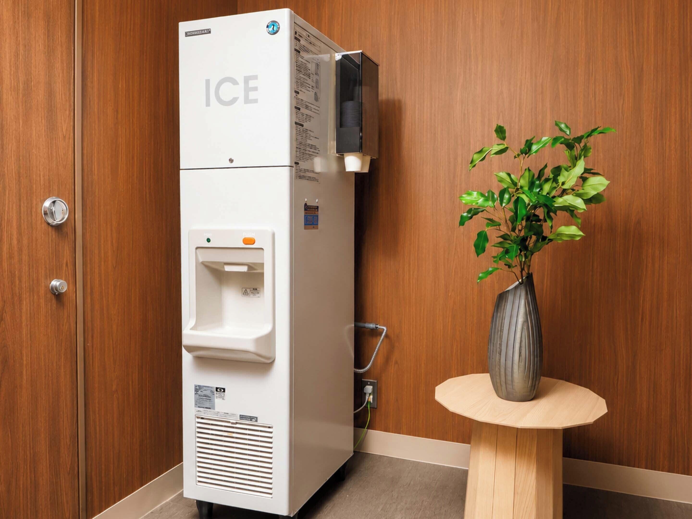 Ein weißer Eisschrank mit Wasserspender, ein kleiner Tisch mit einer Vase grüner Pflanzen und eine Holztür.