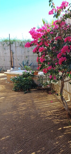 Image sans description, 4 de 9, bouton