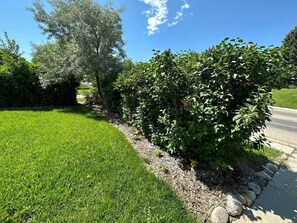 Photo non classée, 5 sur 40, bouton