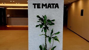 Un interior moderno con un mostrador de recepción, una columna con la señalización 'TEMATA' y una planta en maceta.