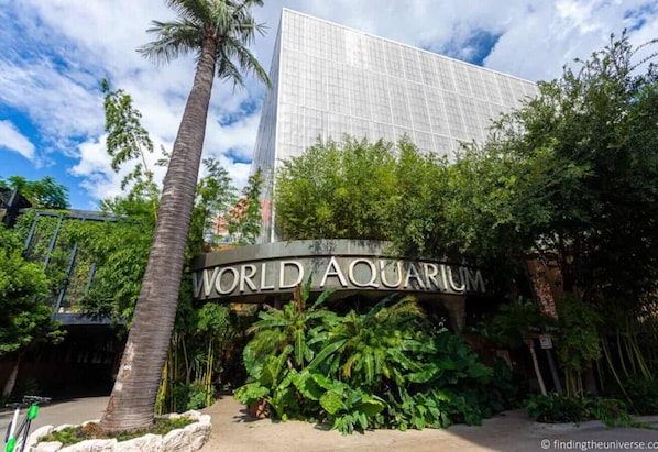 The exterior of the World Aquarium with a large sign, surrounded by lush greenery and palm trees.