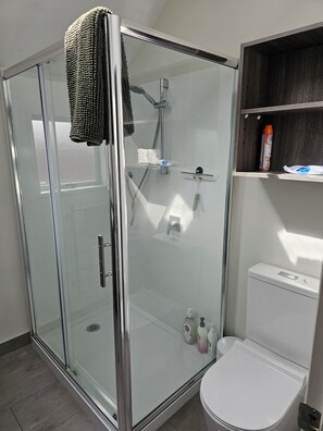 Shower, hair dryer, towels, toilet paper