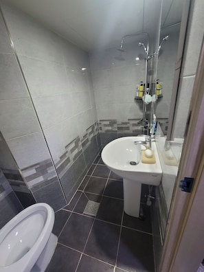 Hair dryer, towels, soap, toilet paper