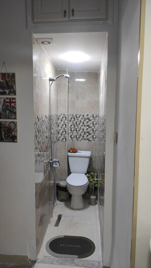A small, enclosed bathroom with a toilet, shower, and decorative tiles. - Port de France (Tunis)