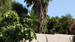 En swimmingpool med klar, blå vandoverflade, omgivet af forskellige planter og træer, heriblandt en høj palme.