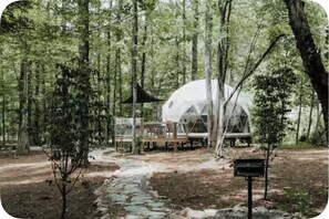 Niet-geclassificeerde afbeelding, 2 van 12, knop