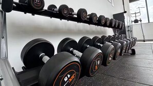 Ett gym med flera rader av hantlar på ställningar och en träningsbänk.