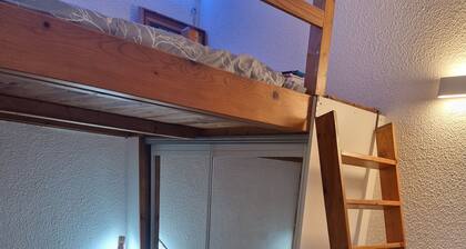 Charming studio with mezzanine, Nice Parc Phoenix, near train station and airport.