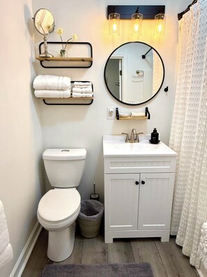 Hair dryer, towels, soap, shampoo