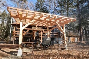 Unclassified image, 4 of 21, button