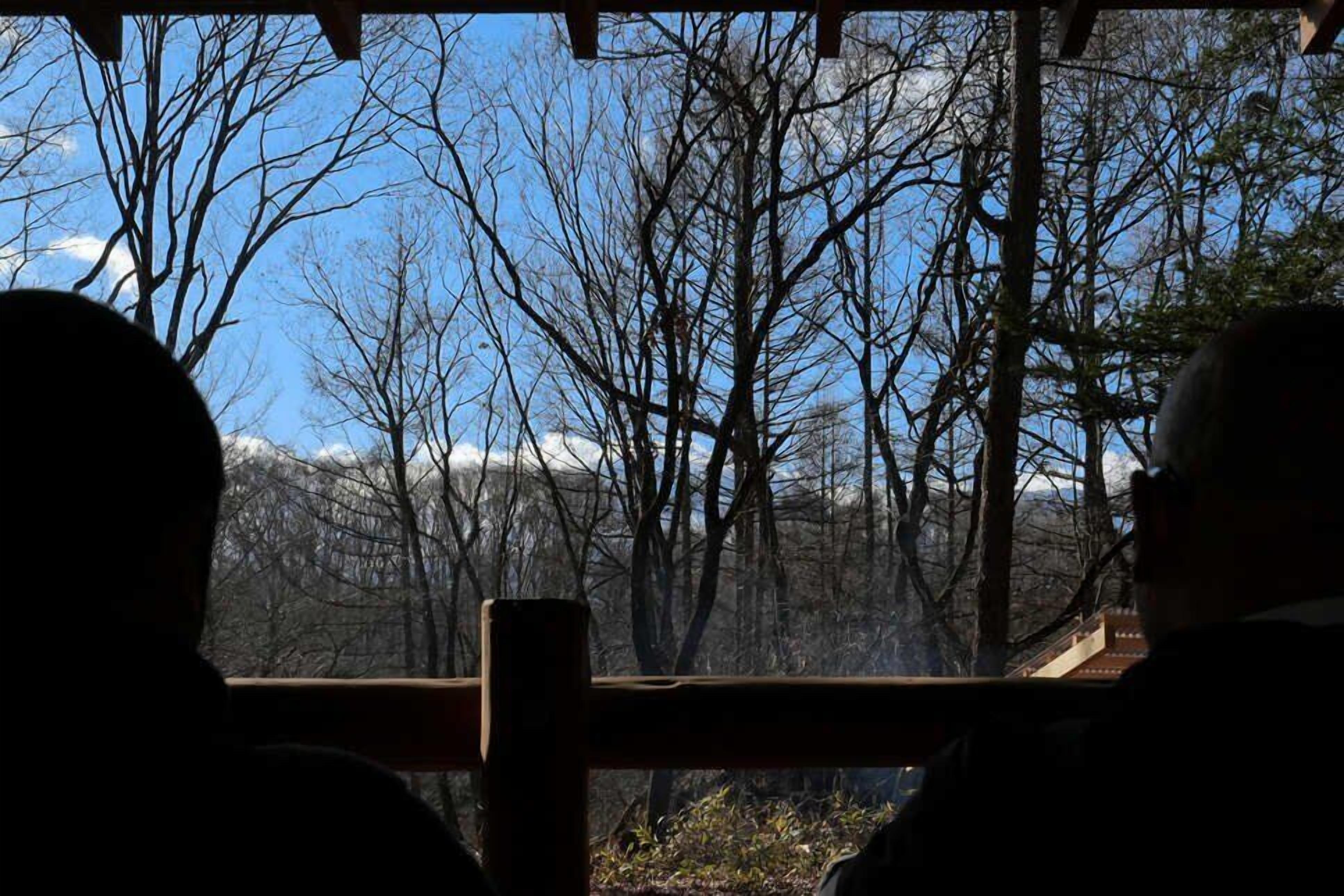 A view from inside a building with bare trees and a clear sky.