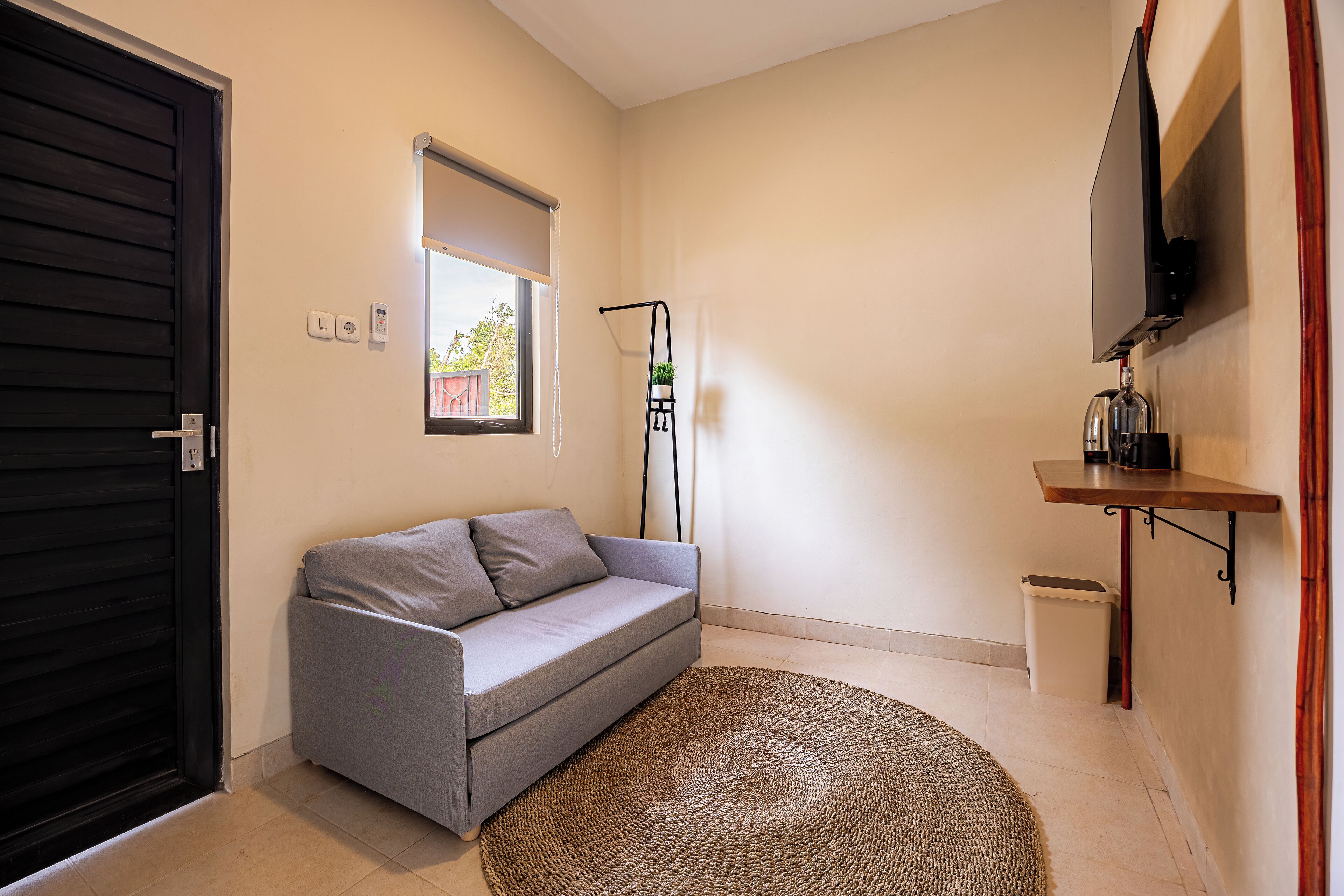A modern living room with a grey sofa, a round rug, a small table with a plant, and a TV mounted on the wall.