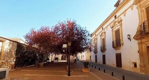 Imagen general