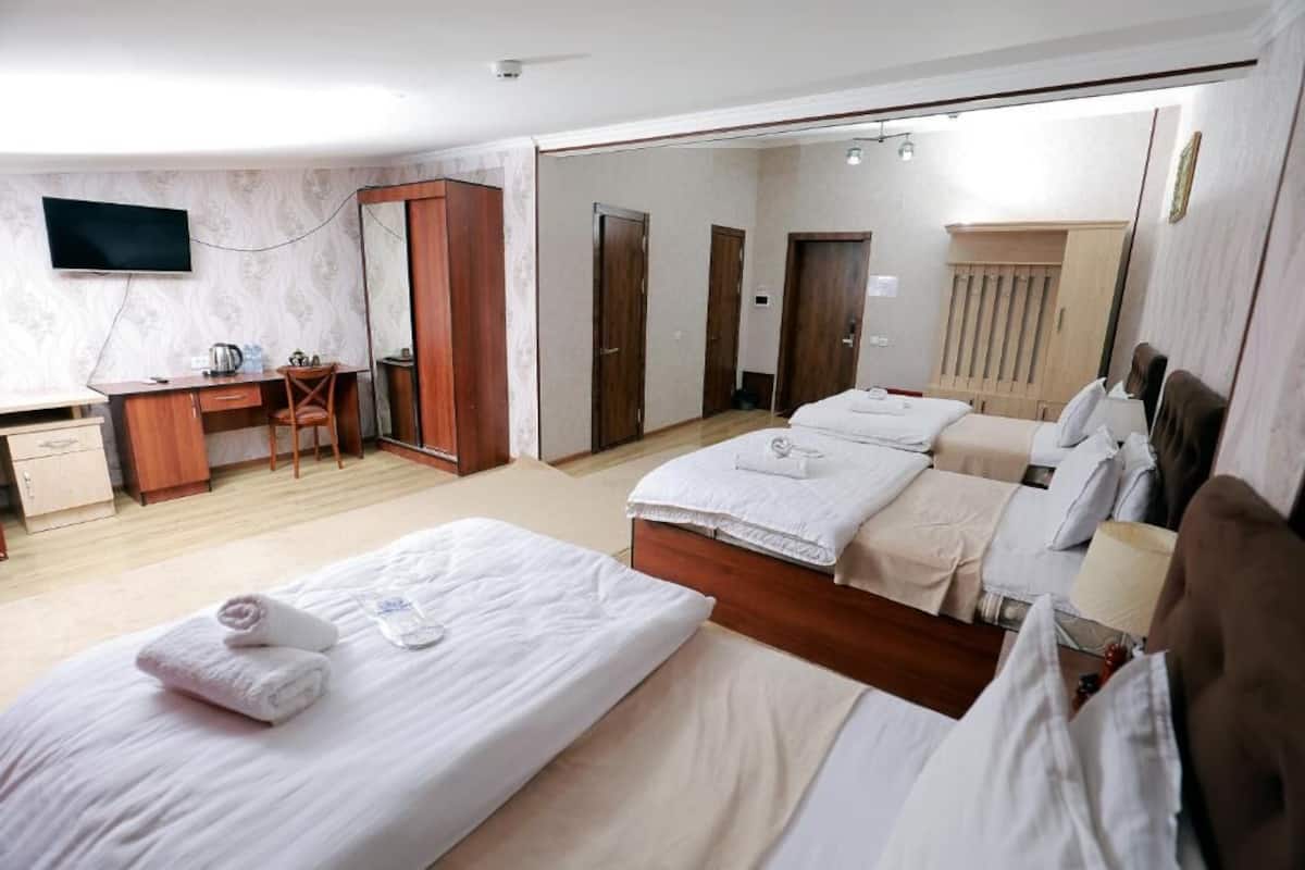 A hotel room with a bed, a desk, a chair, a TV, and a mirror.