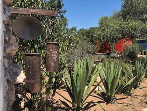 Property grounds - Cabane Ocean 2/3 pers with Pool. (Sidi Kaouki)