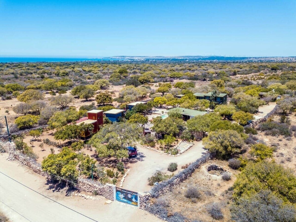 オーナーのプロフィール画像