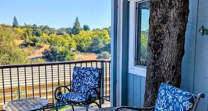 Entire home in Folsom, California