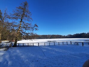 Niet-geclassificeerde afbeelding, 3 van 19, knop
