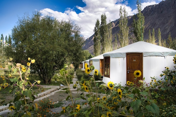 Double Room | Exterior - Nubra Sarai (Leh)
