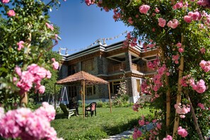 Niet-geclassificeerde afbeelding, 2 van 13, knop