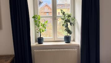 Una habitación con ventana, dos plantas en macetas, un radiador y suelo de madera.