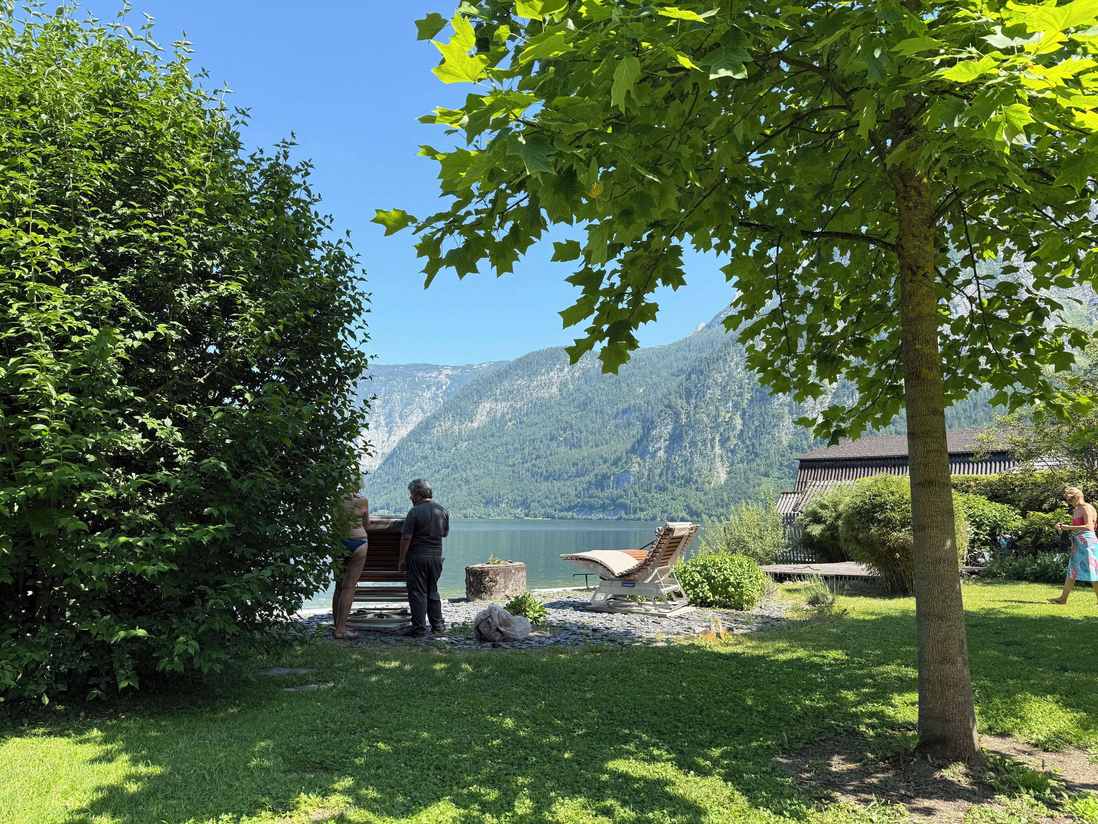 Vista de un lago con un banco, una estructura de madera y un árbol.