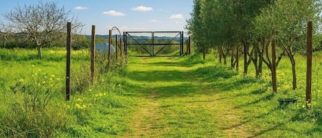 Jardines del alojamiento