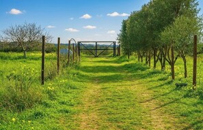 A rural pathway leading to a gated area with trees and grass. - Camping under olive trees, relaxation and barbecues, 15 minutes from Cagliari and Poetto Beach (Selargius)