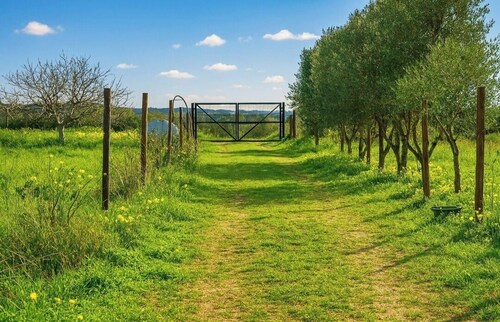 Camper among the Olive Trees, Relaxation and Barbecue, 15 minutes from Cagliari and Poetto Beach